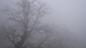 Метеорологи продлили объявление о желтом коде в связи туманом