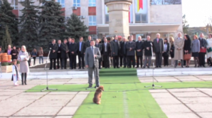 В Оргееве собака заслушалась речью мэра (ВИДЕО)