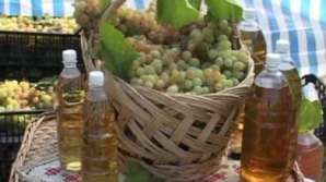 В Гагаузии проходит фестиваль вина