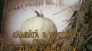 В субботу Publika TV будет смотреть за бахчой в центре города - победителей ждут сюрпризы