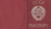 «Паспортизация населения не  должна ущемлять право на голосование»