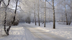 В Кишиневе 29 декабря переменная облачность и 3 градуса ниже нуля