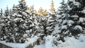 В Кишиневе 22 декабря переменная облачность и -7 градусов к обеду