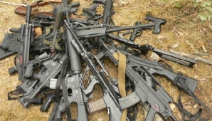 С начала  года в Молдову импортировано почти три тысячи пистолетов и ружей   