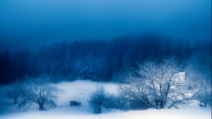 В Молдове 28 декабря возможны туманы и осадки