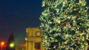 На главной елке страны вечером зажгут огни