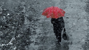 Синоптики объявили оранжевый код в связи с усилением ветра и желтый – из-за дождя и мокрого снега