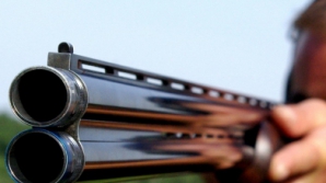 Мужчина, застреливший невестку, приговорен к 14 годам лишения свободы