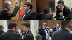 Фотографии, не нуждающиеся в комментариях