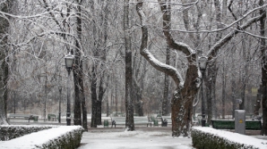 Первый снег в Кишиневе (ФОТО)