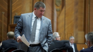 Депутат ЛДПМ попросил у Бундестага сократить срок содержания под стражей гражданина Молдовы