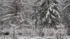 Председатели районов: На севере ситуация критическая, а южные дороги эксплуатируются