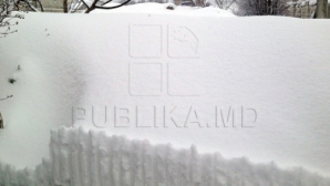 На севере Молдовы высота снежного покрова достигает 40 см, на юге непрерывно идет дождь (ФОТОГАЛЕРЕЯ)