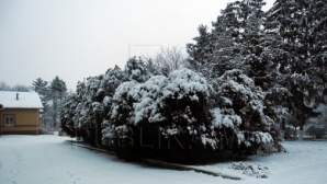 На севере Молдовы зима вступила в свои права (ВИДЕО)