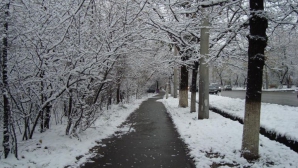 На севере страны выпал первый снег