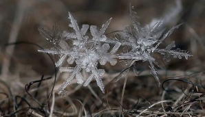 Снег в работах макрофотографа Андрея Осокина (ФОТО)