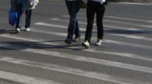 Необычный "пешеход" на зебре в России (ВИДЕО)