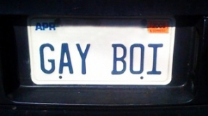 Гей в США подал на чиновников в суд за отказ выдать особый номерной знак