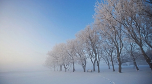 В Кишиневе 24 января облачно и нулевая температура