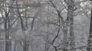 31 января в стране пройдут дожди