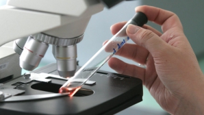 В Молдове зарегистрировано четыре случая заболевания гриппом A/H1N1