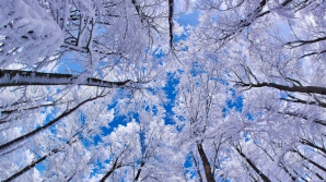 В Кишиневе 19 января облачно, осадки и 4 градуса с плюсом