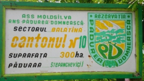 Охота в заповеднике Пэдуря Домняскэ была законной