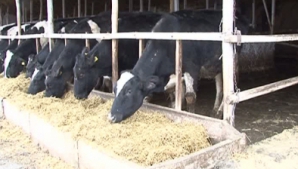 Фермеры получили не все обещанные государством деньги