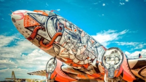 Искусство на заброшенных самолётах в американской пустыне (ФОТО)