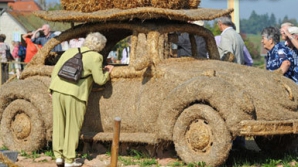 Ученые из алтайского Бийска научились выделять этанол из овсяной шелухи 