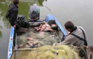 На реках и озерах Молдовы  участились случаи браконьерства