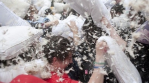 На устранение последствий боя подушками у Сан-Франциско ушло пять тысяч долларов