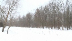 Директор заповедника Пэдуря Домняскэ Денис Еремчук отстранен от должности