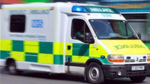 За сексуальные домогательства к карете скорой помощи британца приговорили к штрафу в 100 долларов