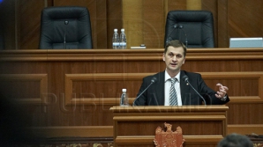 Дрэгуцану в парламенте: ВЕМ необходимо продать инвестору с международной репутацией