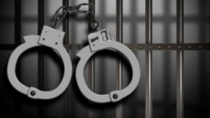 Задержана женщина, укравшая 4500 евро у семьи из Кишинева