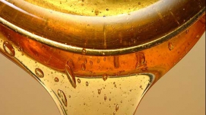 Пчеловоды: засуха повлияла на количество и качество меда