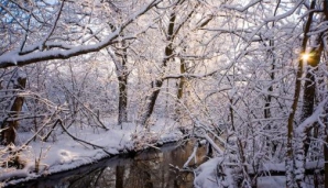 10 февраля в Молдове  пройдут небольшие осадки