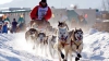 На Аляске проходит крупнейшая в мире гонка на собачьих упряжках Iditarod Trail