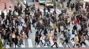 Жители села Чимишены Криулянского  района переезжают в города в поисках работы