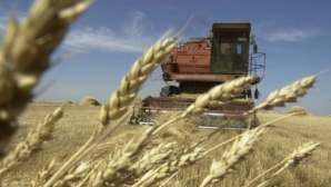 Депутаты обсудят единый налог в сельском хозяйстве