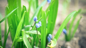 В Молдове потеплеет до +6 на юге 