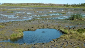 Заброшенный источник термальных вод в Готештах используют не по назначению