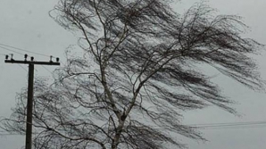 В Молдове ожидается усиление ветра и резкое похолодание