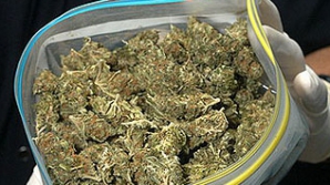 В Хынчештском районе задержаны молодые наркодилеры