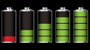 Для быстрой зарядки аккумуляторам могут помочь моллюски