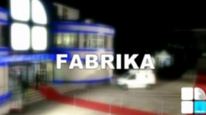 ДПМ призывает к диалогу коллег по коалиции. Какой интерес будет доминировать: партийный или государственный? (ФАБРИКА, ТЕКСТ ОНЛАЙН)