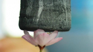 Китайцы создали суперлегкий материал - графеновый аэрогель