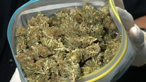 Задержаны шестеро молодых людей, продававших крупную партию гашиша