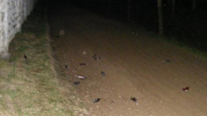 Заключенные тюрьмы №13 в Прункул прятали в камере алкоголь